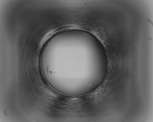 X0000096650151200802191251