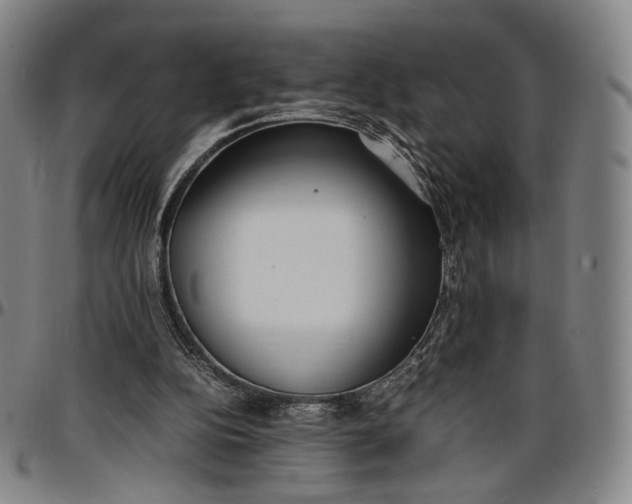 X0000096650152200802191251