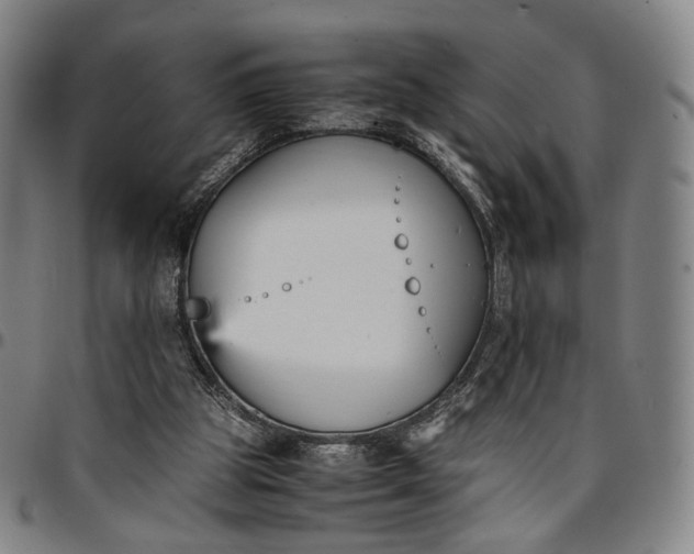 X0000096650153200802191251