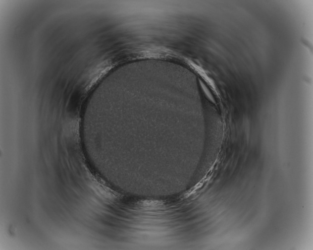 X0000096650154200802191251