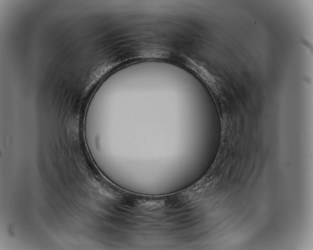 X0000096650155200802191251