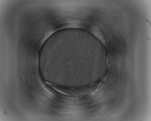 X0000096650156200802191251