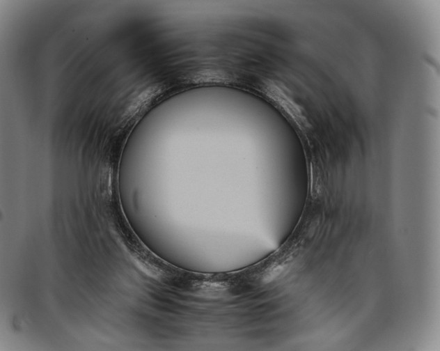 X0000096650157200802191251