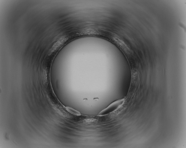 X0000096650158200802191251