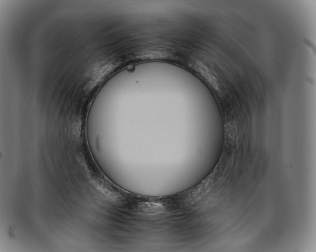 X0000096650159200802191251