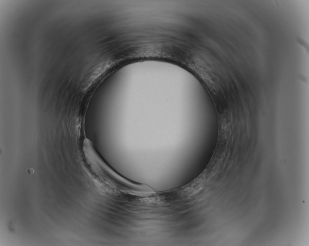 X0000096650160200802191251