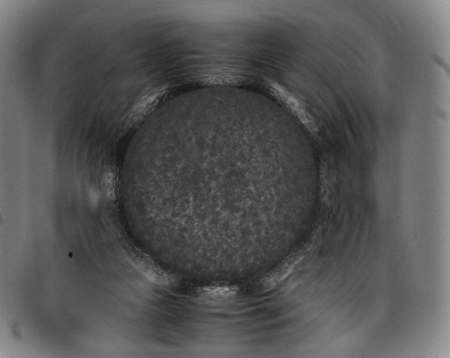 X0000096650161200802191251