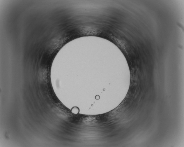 X0000096650162200802191251