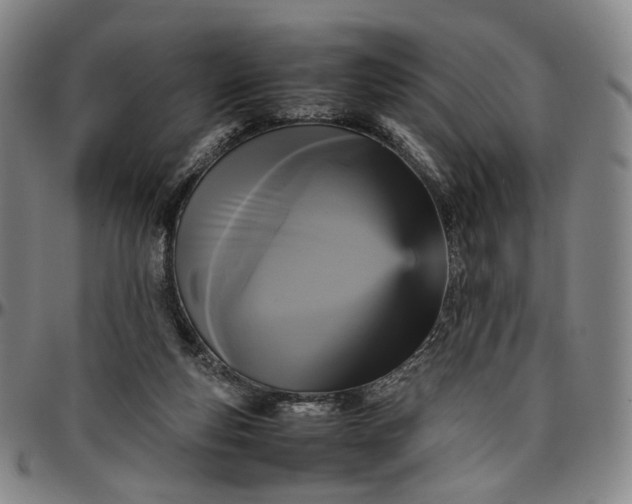 X0000096650163200802191251