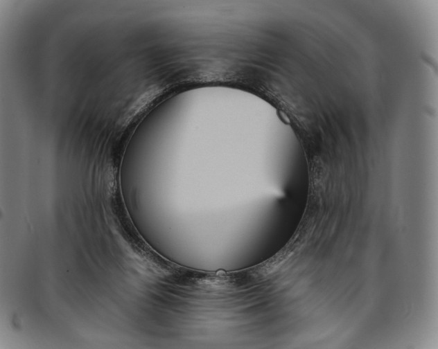 X0000096650164200802191251