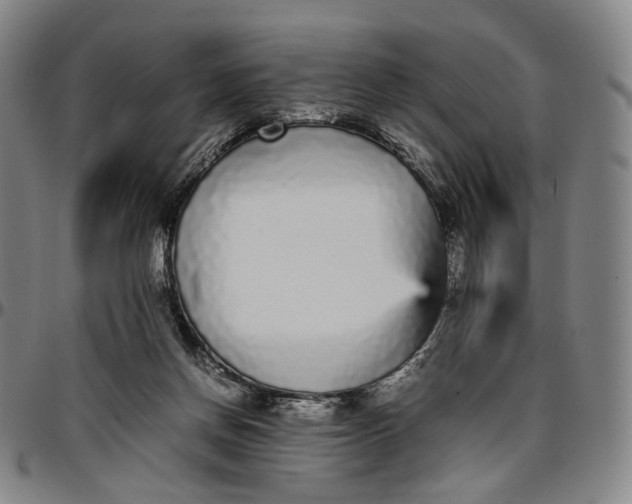 X0000096650166200802191251