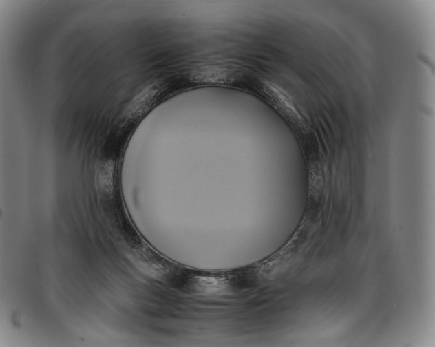 X0000096650167200802191251