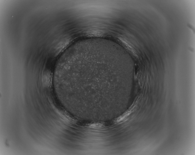 X0000096650168200802191251