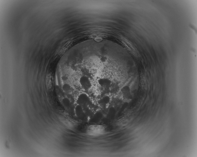 X0000096650169200802191251