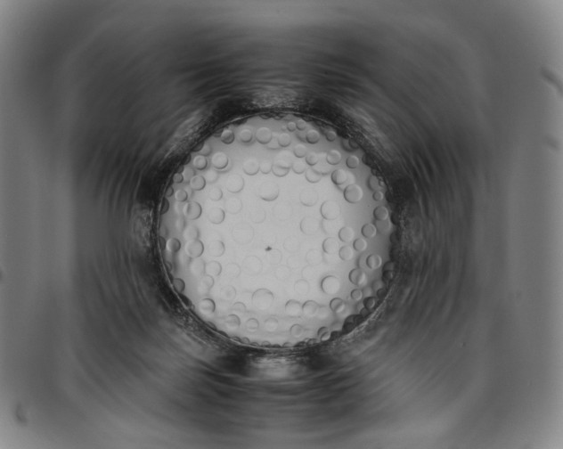 X0000096650171200802191251