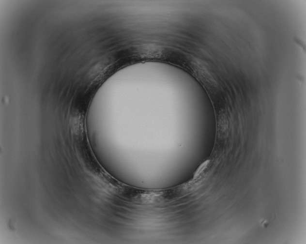 X0000096650172200802191251