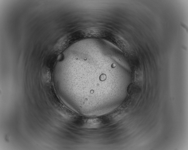 X0000096650173200802191251