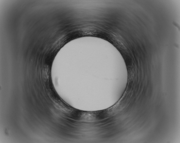 X0000096650174200802191251