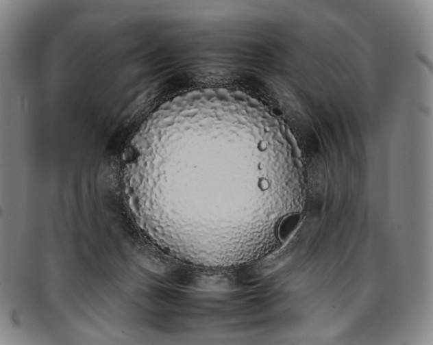 X0000096650175200802191251