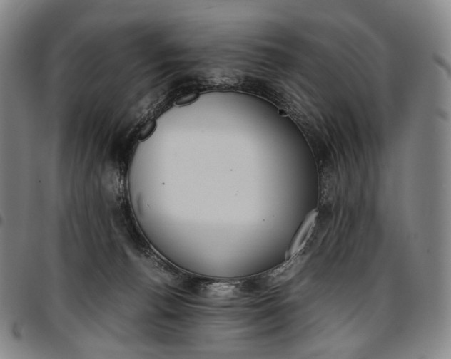 X0000096650176200802191251