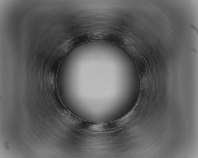 X0000096650178200802191251