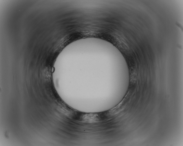 X0000096650179200802191251