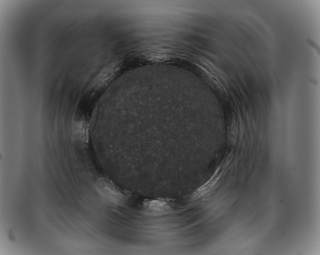 X0000096650180200802191251