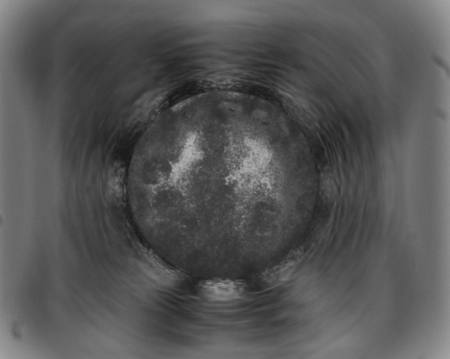 X0000096650181200802191251