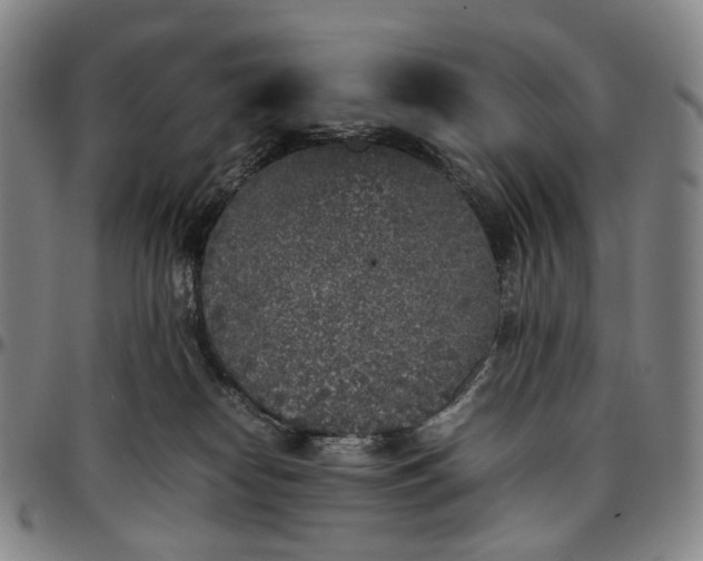 X0000096650182200802191251