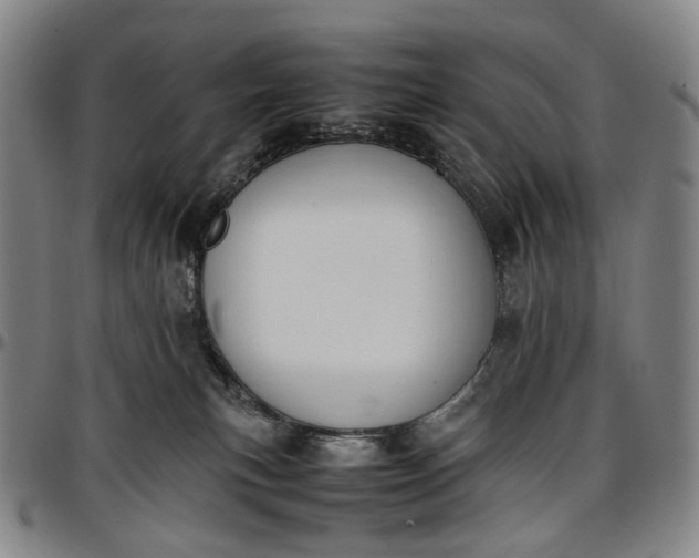 X0000096650183200802191251