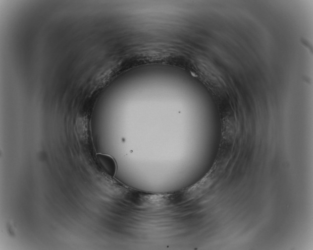 X0000096650184200802191251