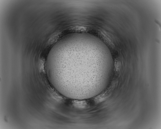 X0000096650185200802191251