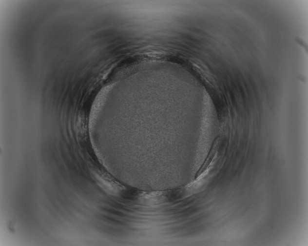 X0000096650186200802191251