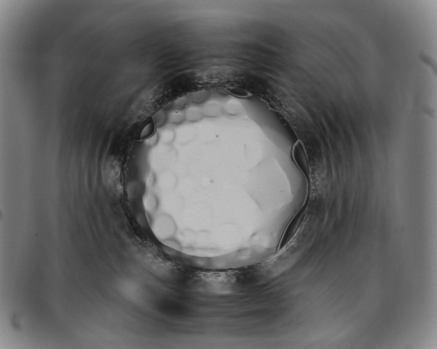 X0000096650187200802191251