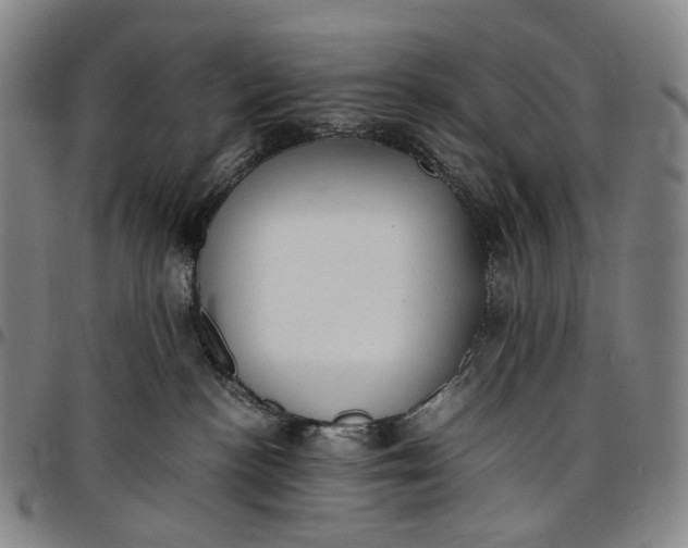 X0000096650188200802191251