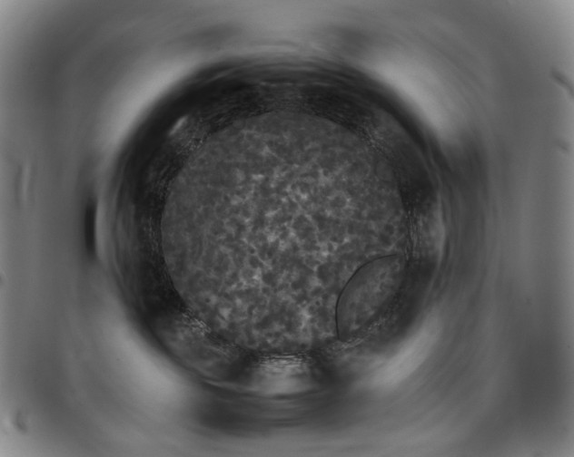 X0000096650189200802191251