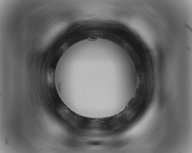 X0000096650190200802191251