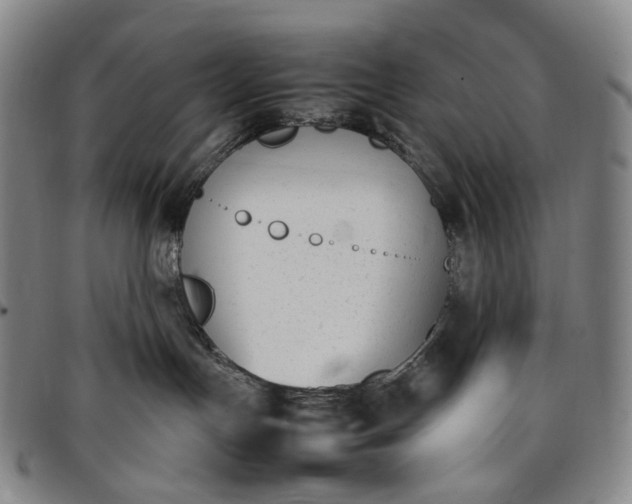 X0000096650191200802191251