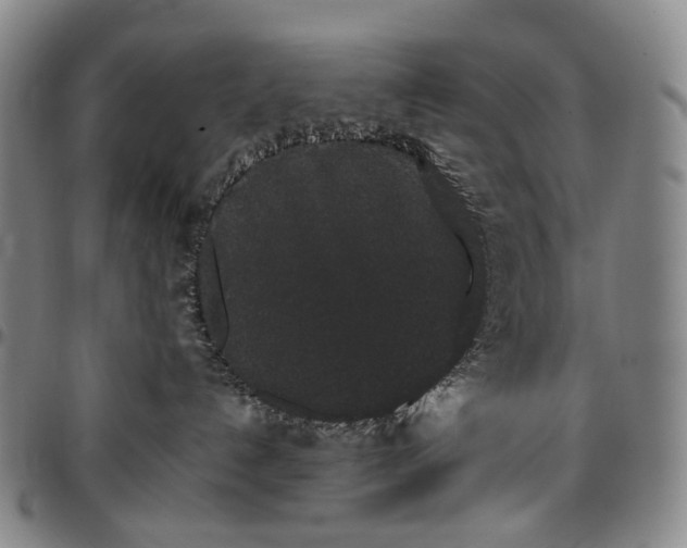 X0000096650192200802191251