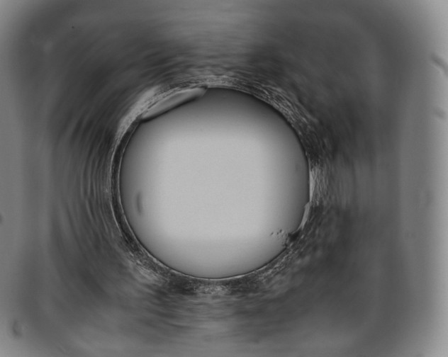 X0000096650195200802191251