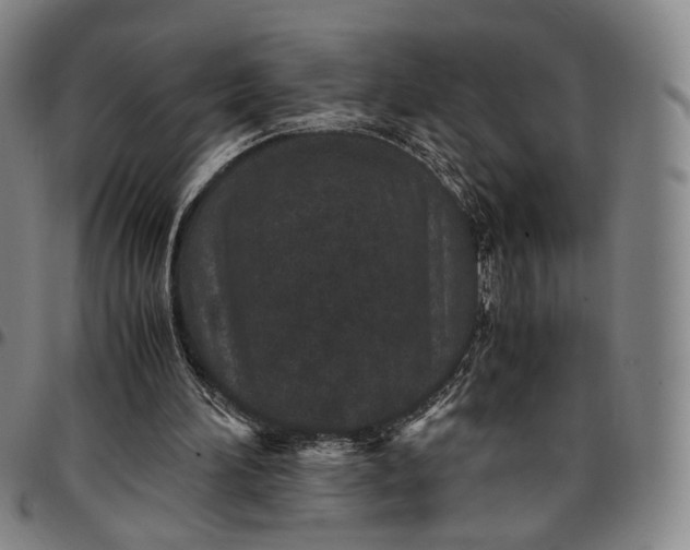 X0000096650196200802191251