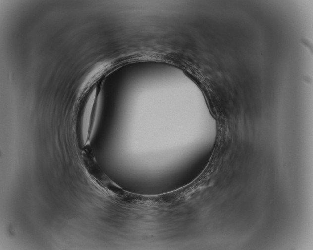 X0000096650197200802191251