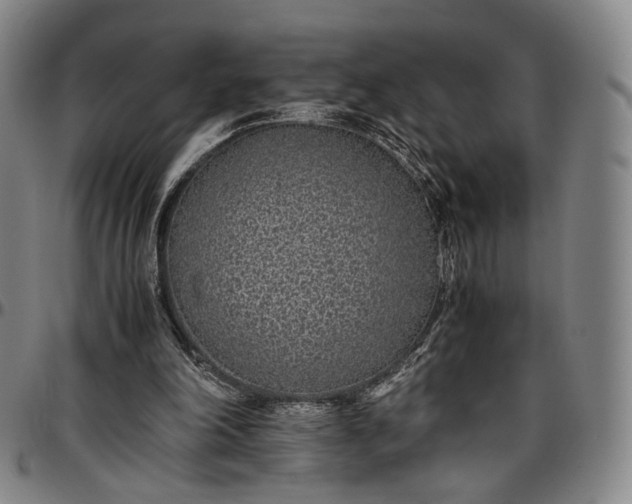 X0000096650198200802191251