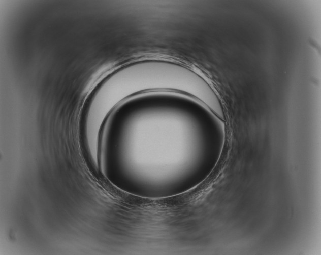 X0000096650199200802191250