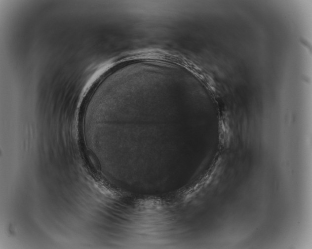 X0000096650200200802191250