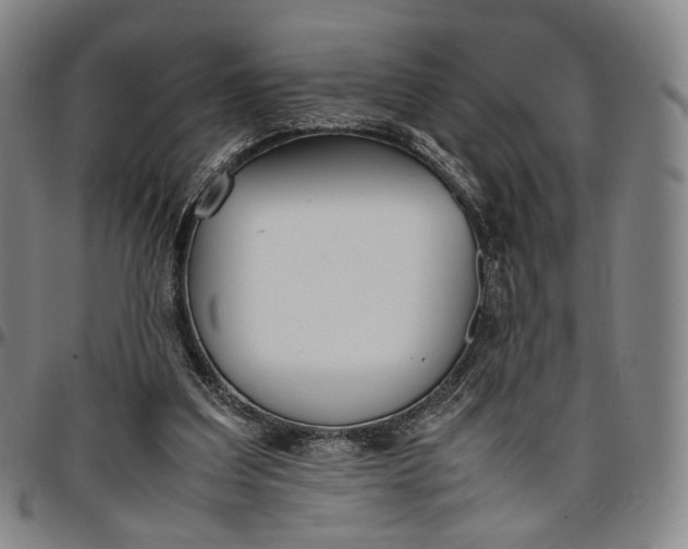 X0000096650203200802191250