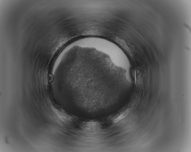 X0000096650204200802191250