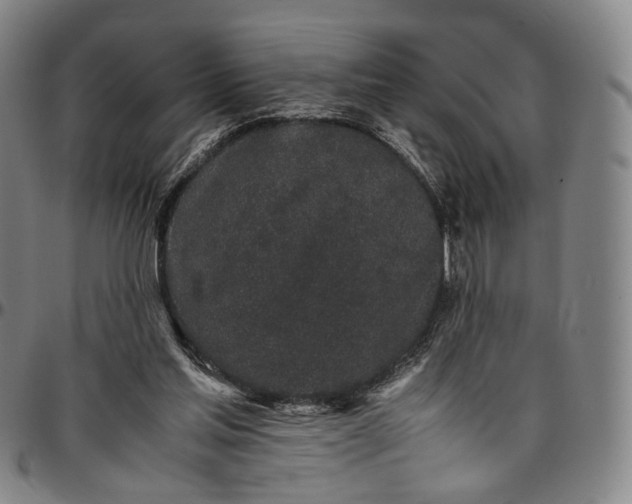 X0000096650205200802191250