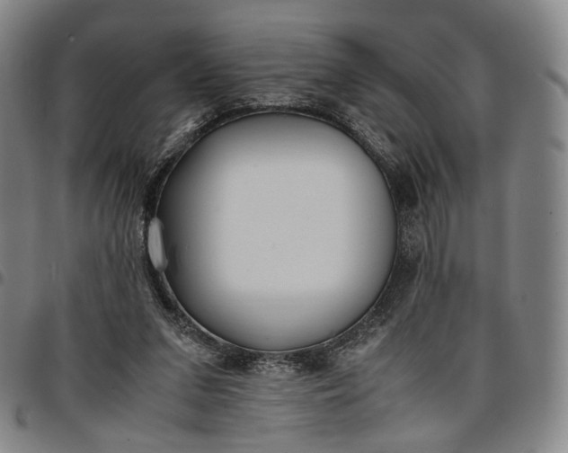 X0000096650207200802191250