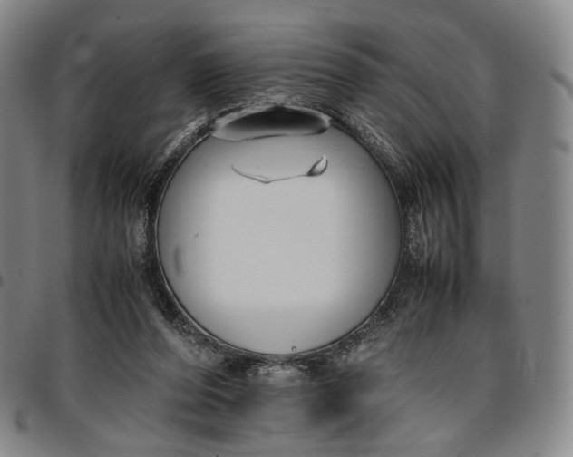 X0000096650208200802191250